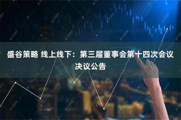 盛谷策略 线上线下：第三届董事会第十四次会议决议公告