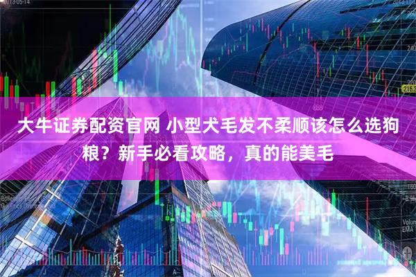 大牛证券配资官网 小型犬毛发不柔顺该怎么选狗粮？新手必看攻略，真的能美毛