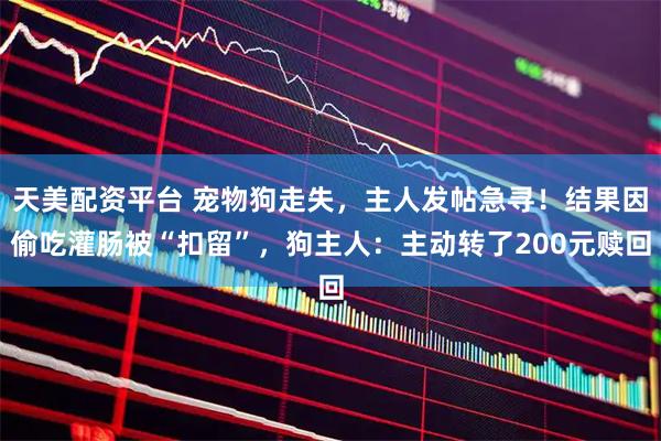 天美配资平台 宠物狗走失，主人发帖急寻！结果因偷吃灌肠被“扣留”，狗主人：主动转了200元赎回