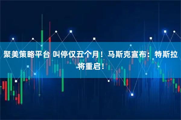聚美策略平台 叫停仅五个月！马斯克宣布：特斯拉将重启！